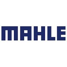Логотип компании: MAHLE 
