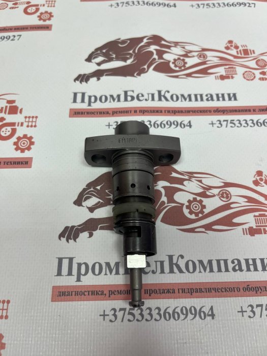 Картинка запчастей: Плунжерная пара Motorpal EM10Pi