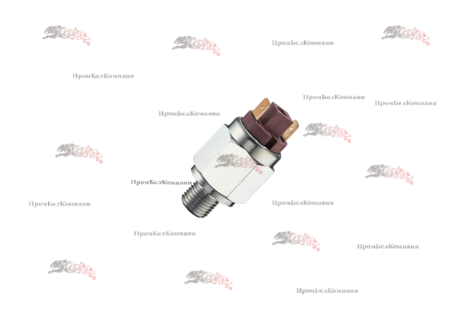 Картинка датчик давления (реле) euroswitch 2120122 