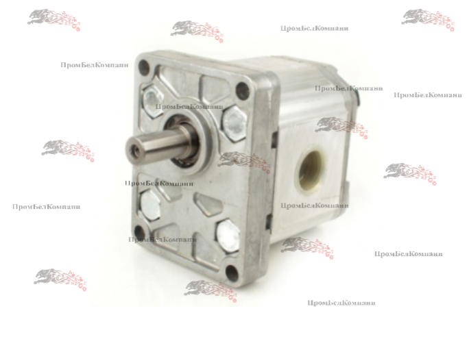 Фотография Гидронасос шестеренный Bondioli&Pavesi HPLPA211SMNG6G4B00