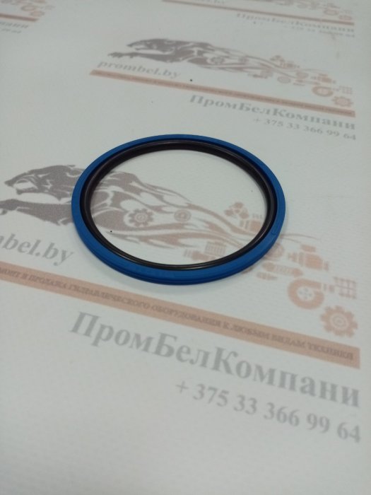 Картинка запчастей: Уплотнение поршня Kastas K15 75Х64Х4,2