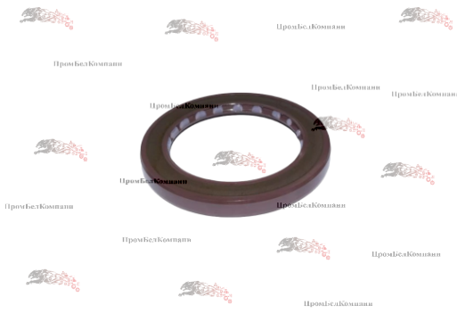 Картинка уплотнение вала ( сальник ) dmhui 55*72*7 babsl10fx2 fpm / 1904007 усиленный для высокого давления