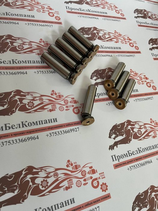 Картинка запчастей: Поршень с башмаком 19х79.5 для гидромотора Linde HMF75