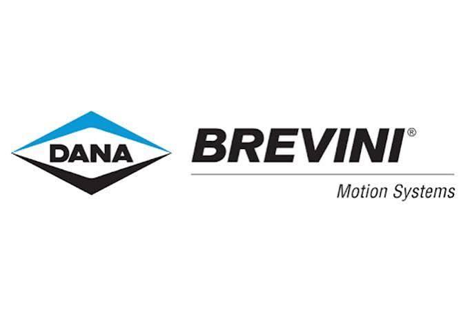 Логотип компании: Dana Brevini