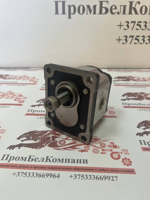 Фотография Гидронасос шестеренный Brevini OT200P06D/G28IP2 ( 0221-10715912 ) PS2057001D