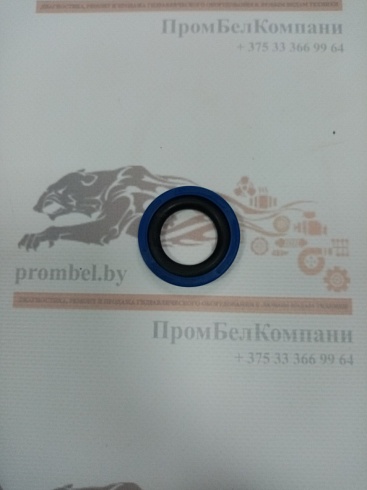 Изображение запчастей: Уплотнение поршня Kastas K15 40х24,5х6,3