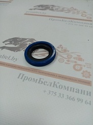 Картинка запчастей: Уплотнение поршня Kastas K15 40х24,5х6,3