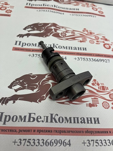 Плунжерная пара Motorpal EM10Pi