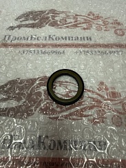 Картинка уплотнение / уплотнение вала / сальник / манжета армированная для гидромоторов / гидронасосов / усиленное под высокое давление 28.6*39*4.9 nbr+ptfe bakhdsn