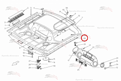 Картинка запчастей: Планка слева B81.01036 для свеклоуборочного комбайна Grimme Rexor 620/630