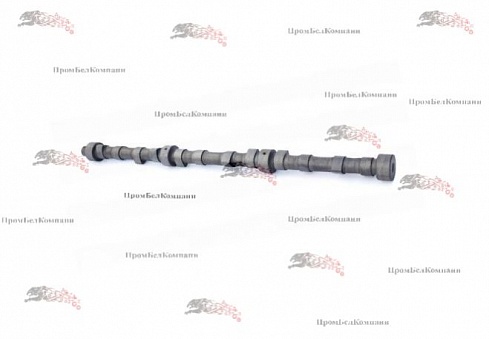 Вал распределительный ММЗ 260-1006015 для МТЗ-1221, МТЗ-1523, Амкодор-332, Амкодор-342, Амкодор-352