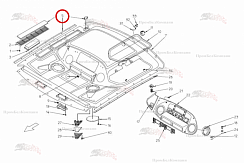 Картинка запчастей: Планка справа B81.01019 для свеклоуборочного комбайна Grimme Rexor 620/630