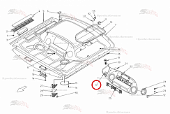 Картинка запчастей: Заслонка B81.01029 для свеклоуборочного комбайна Grimme Rexor 620/630
