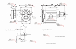 Картинка запчастей: GP2K20L Гидронасос шестеренный HYDROSILA GP2K20L-B231G