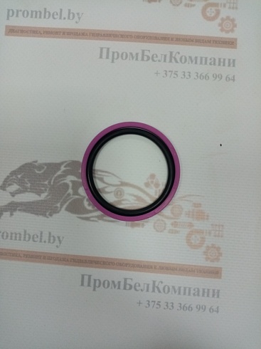 Изображение запчастей: Уплотнение поршня PSO 55х44х4,2 Pur98+NBR