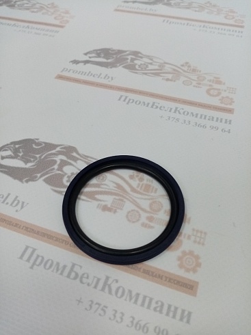 Изображение запчастей: Уплотнение поршня PSO 45х34х4,2 Pur98+NBR
