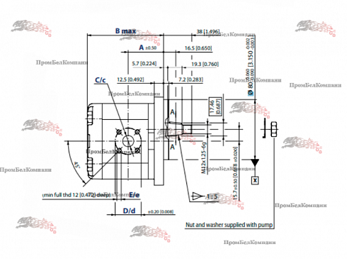 Изображение запчастей: Гидромотор шестеренный Sauer Danfoss SNM2/8 CO02 LFU1